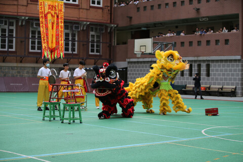 國術隊醒獅表演