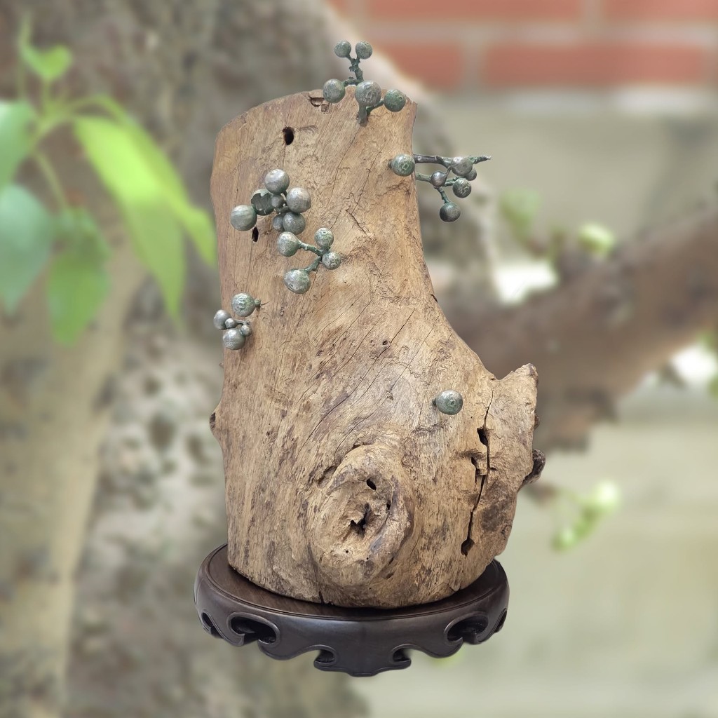何兆基《Fig Tree》英皇書院百年紀念雕塑